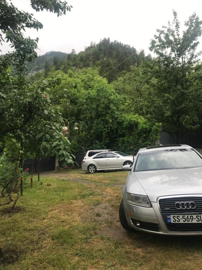 Zviad Guest House ボルジョミ エクステリア 写真
