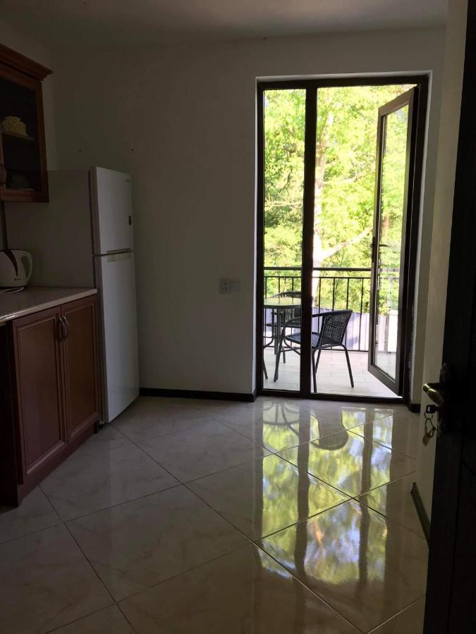 Zviad Guest House ボルジョミ エクステリア 写真