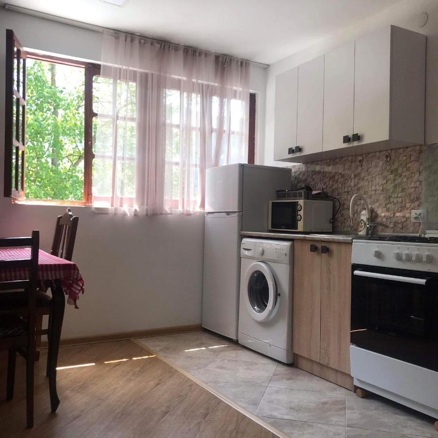 Zviad Guest House ボルジョミ エクステリア 写真