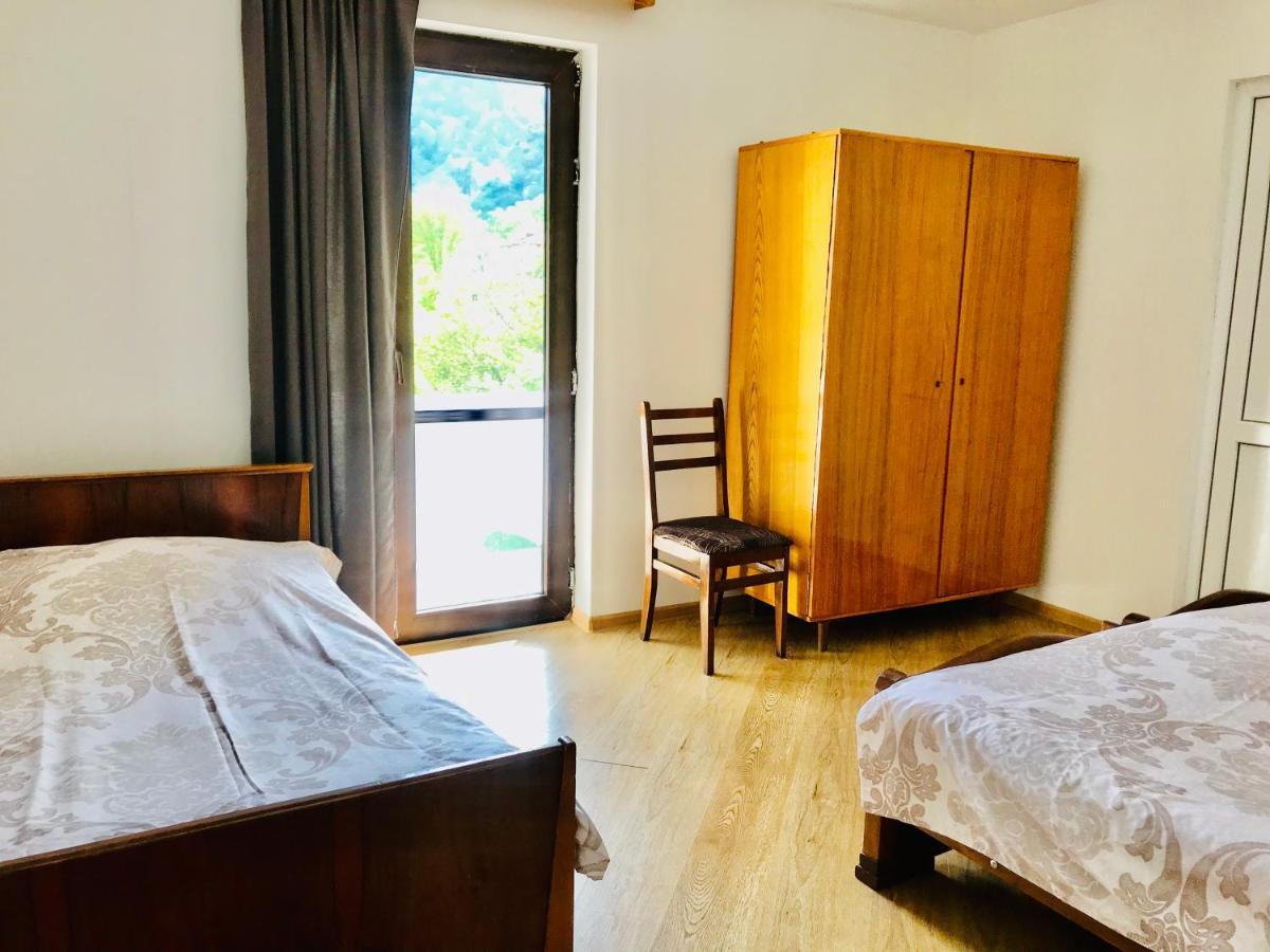Zviad Guest House ボルジョミ エクステリア 写真