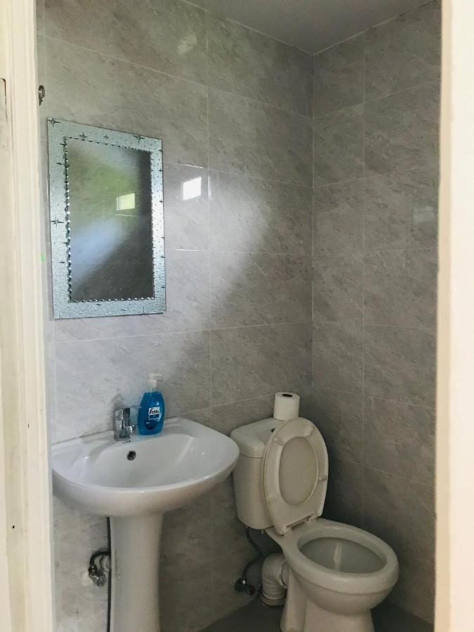 Zviad Guest House ボルジョミ エクステリア 写真