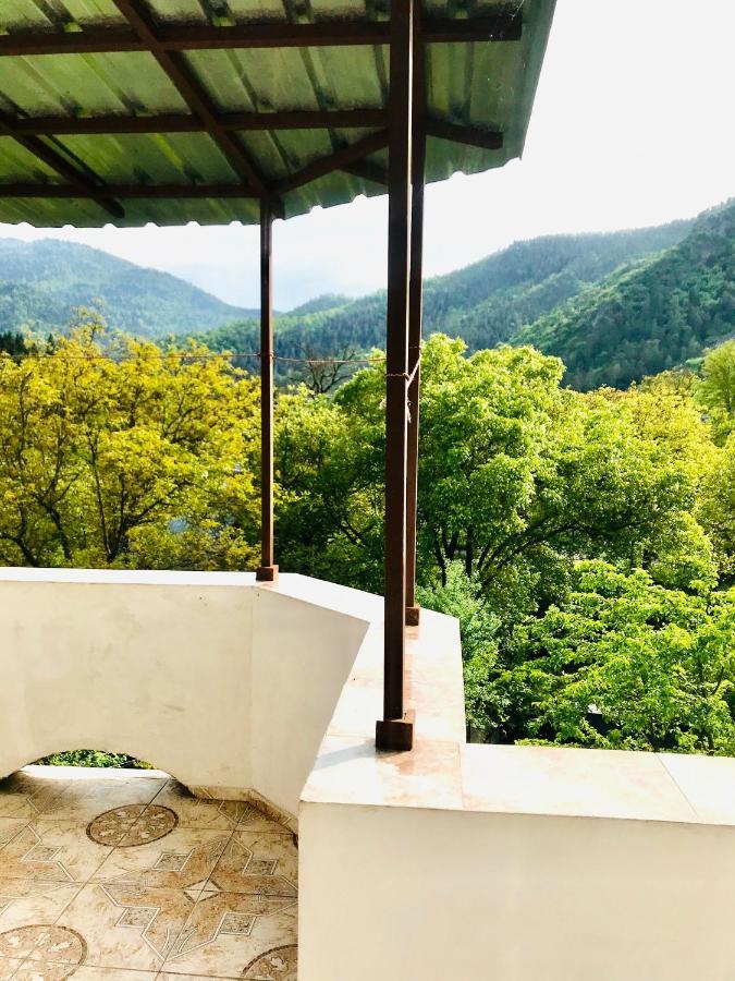 Zviad Guest House ボルジョミ エクステリア 写真